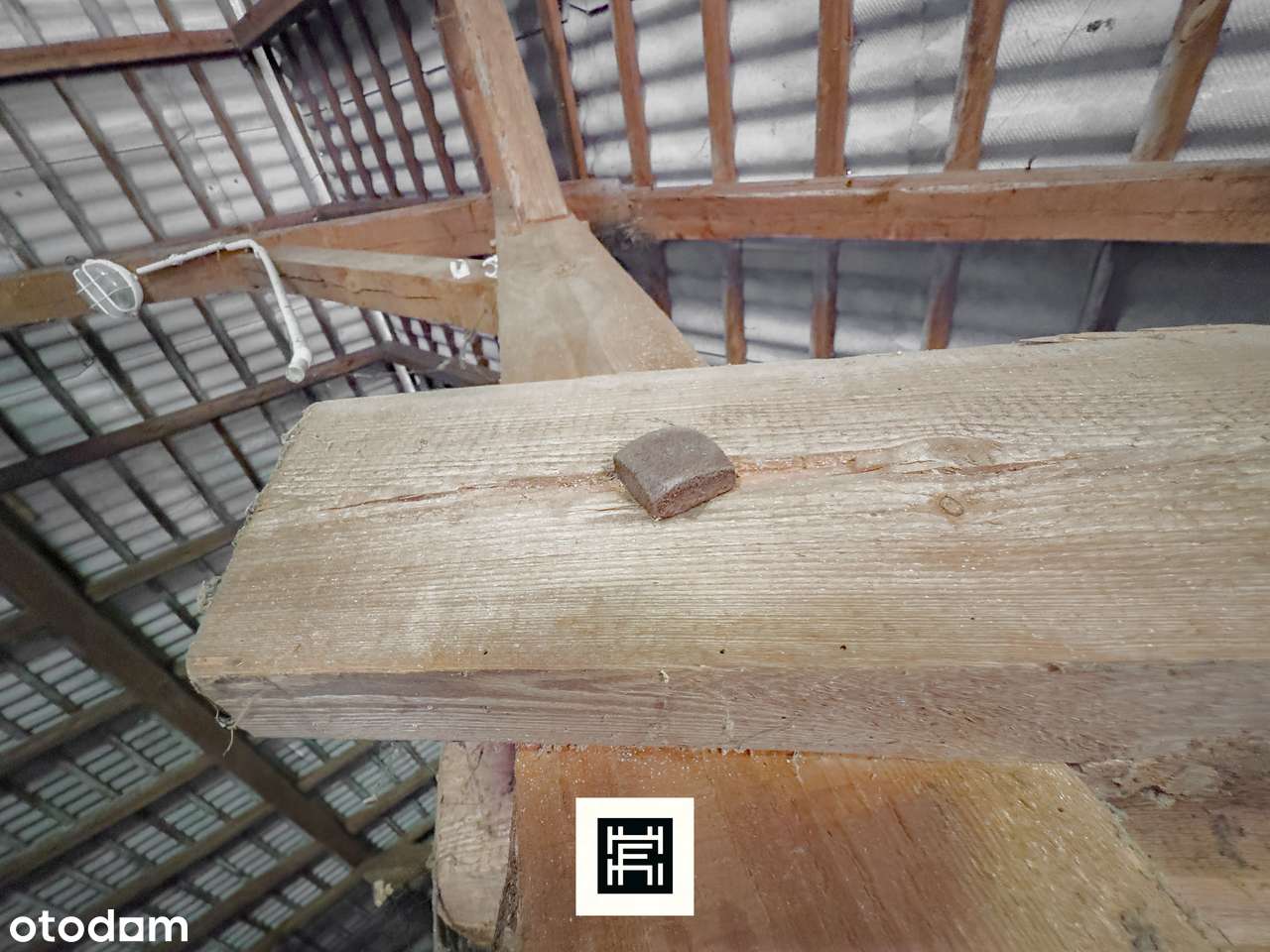 Industrialna stodoła, wielki teren i las–czy to będzie Twoje miejsce?-6