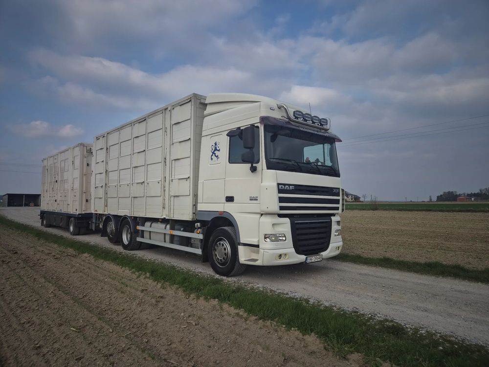 DAF XF 2011