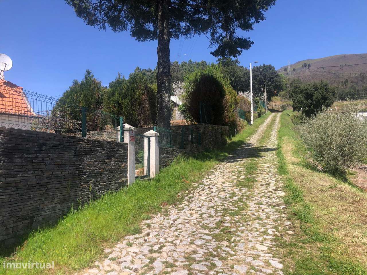 Quinta espetacular na região do vinho verde em plena produção-14