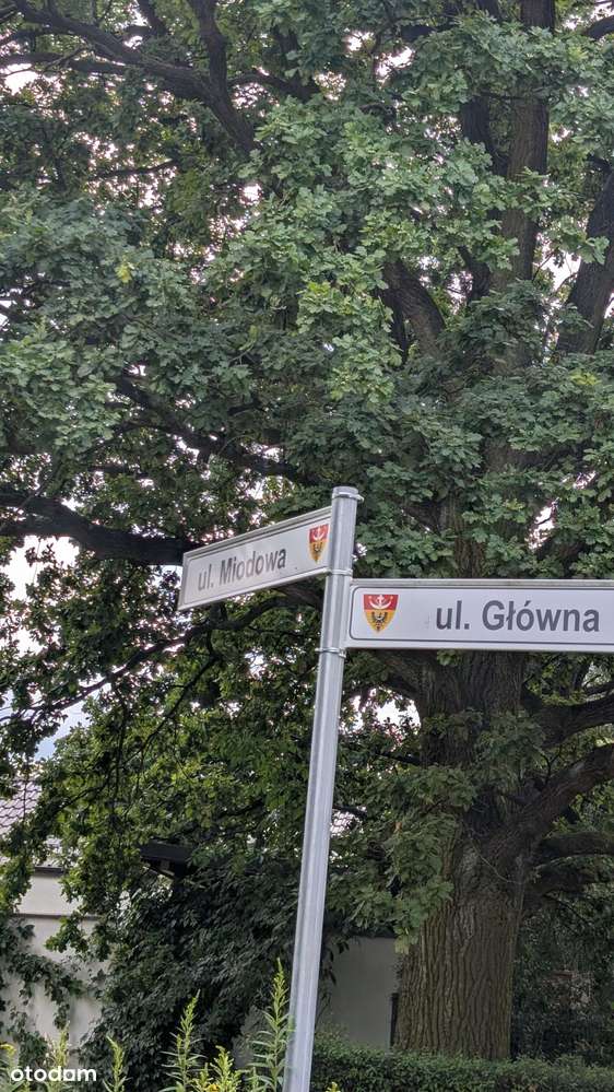 Nieciszów – duże działki  MPZP  Rezerwacja do 20.01-9