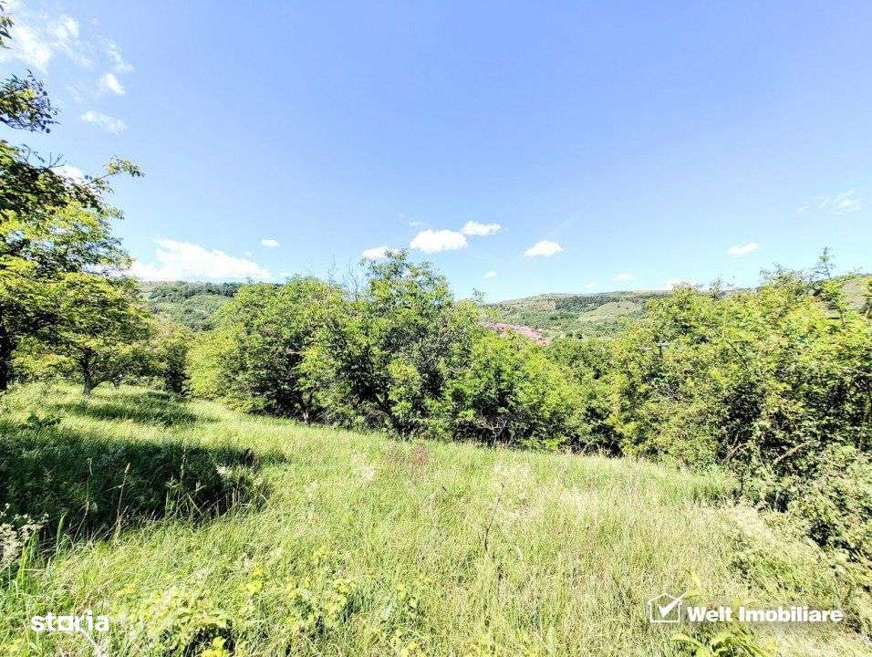 Teren intravilan pentru constructie imobil, Suceagu - Imagine principală: 2/2