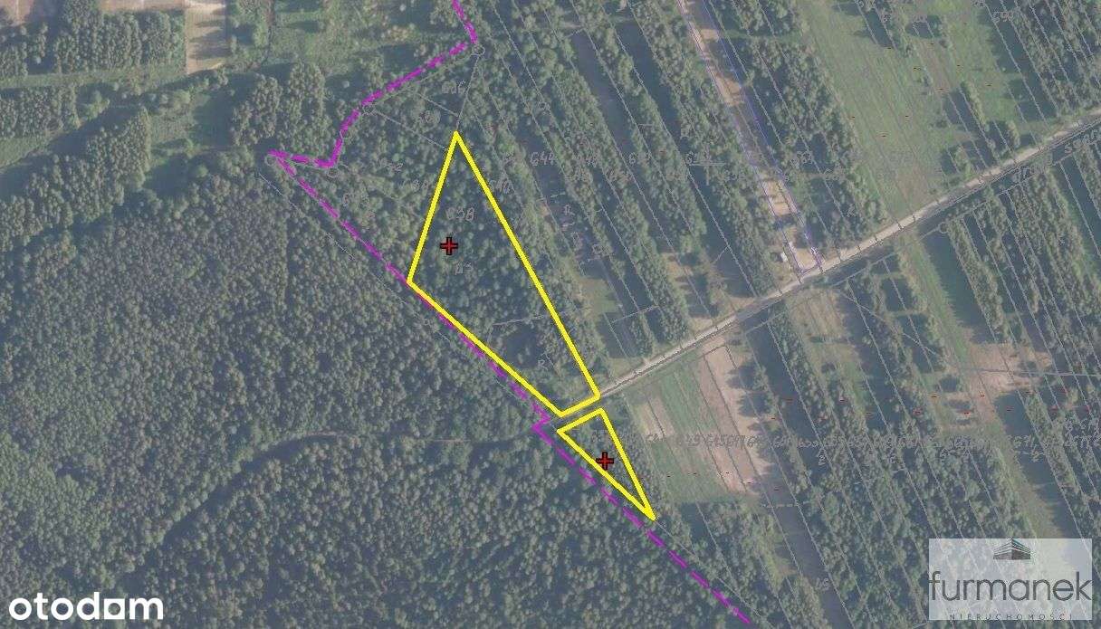 Tereny rolno - leśne 3,03 ha | Ciosmy - Pełny obrazek: 5/9