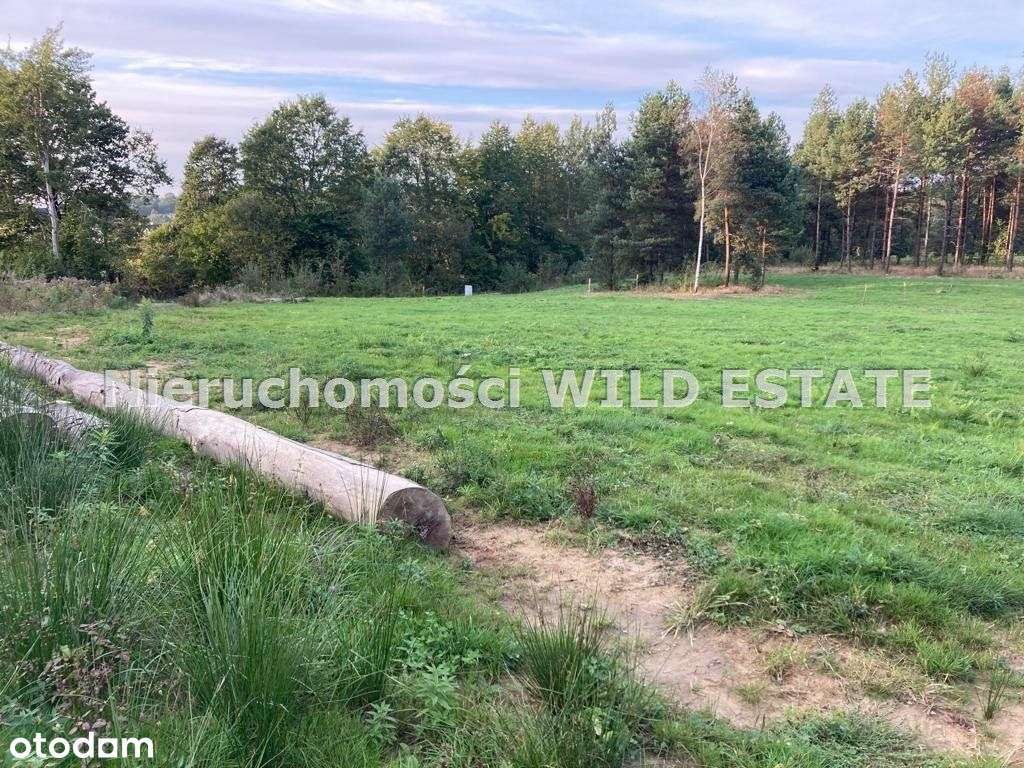 Działka, 4 588 m², Solina - Pełny obrazek: 5/5