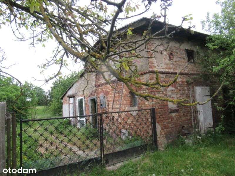 Budynek użytkowy z działką o pow. 1353 m2-3
