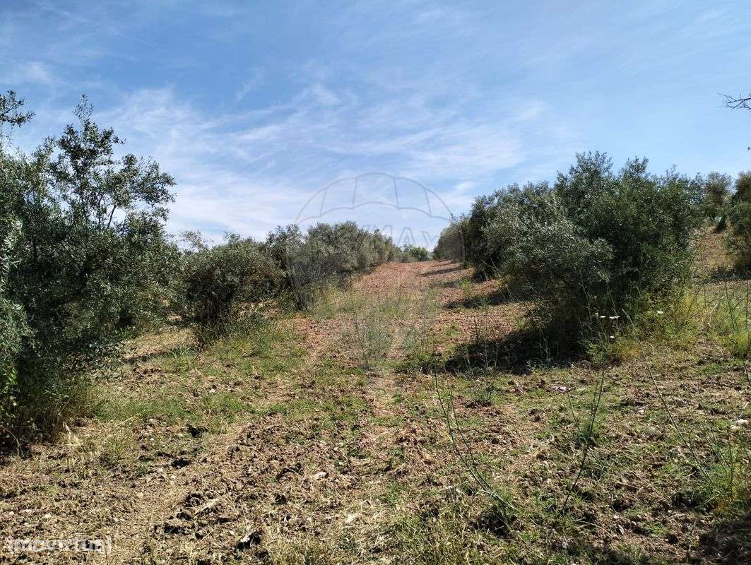 Terreno  para venda - Grande imagem: 4/5