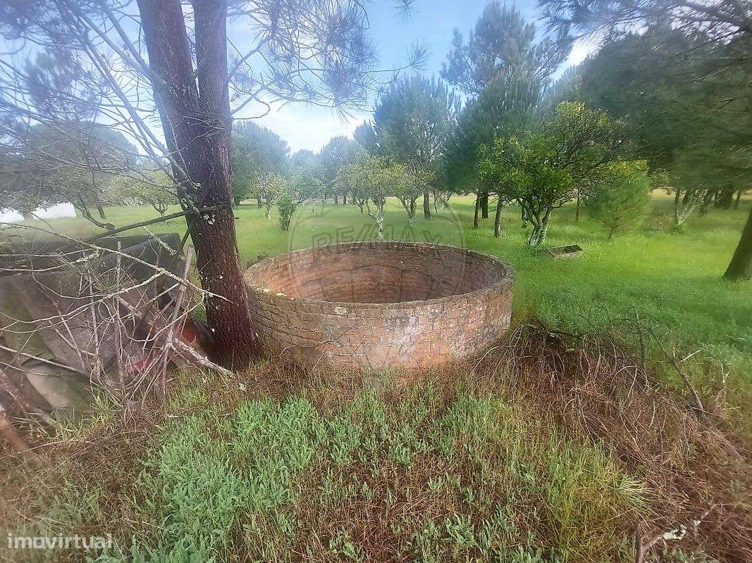 Quinta T1 para venda - Grande imagem: 4/15