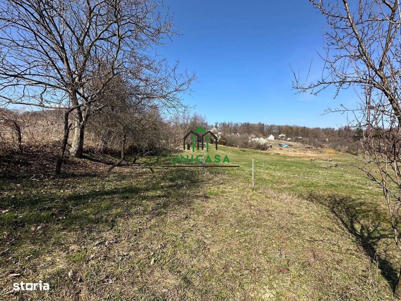 Teren Govora / 8131mp - Imagine principală: 2/7