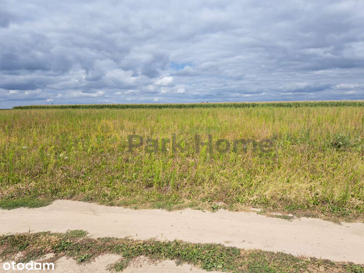 Działki pod budowę domu - Stary Lubosz - Pełny obrazek: 3/4