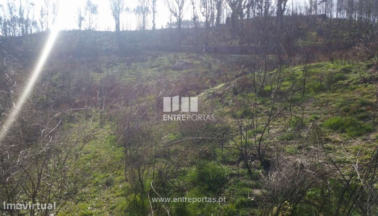 Venda Terreno, Frente Estrada, Manhuncelos, Marco de Canaveses - Grande imagem: 3/8