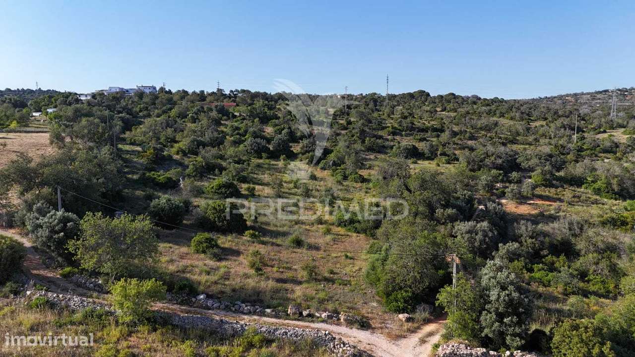 TERRENO RÚSTICO  COM FURO - Grande imagem: 4/6