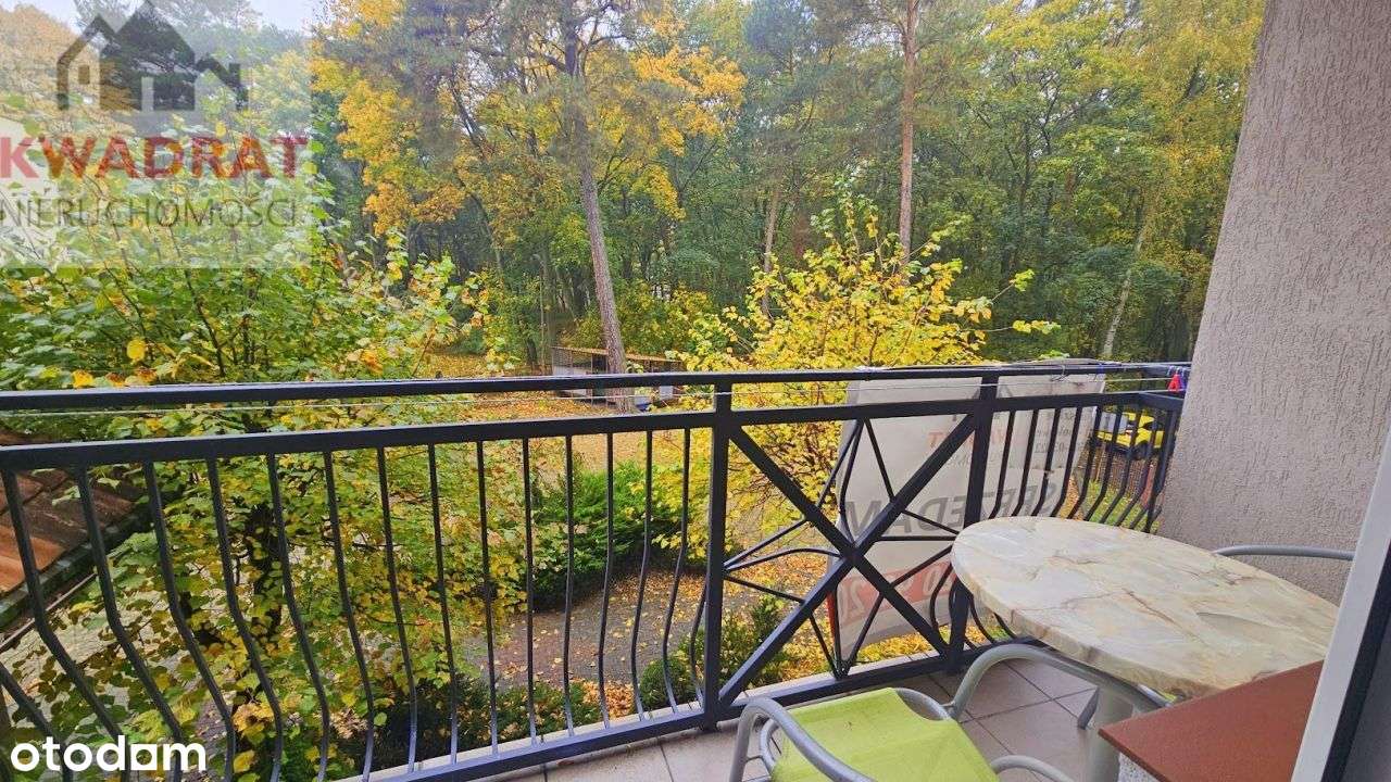 2 pokojowy apartament w Krynicy Morskiej blisko pl-11