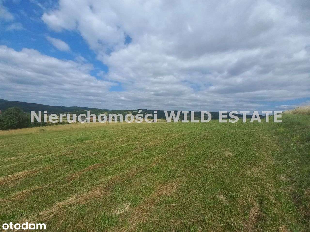 Działka, 6 521 m², Lesko - Pełny obrazek: 4/6