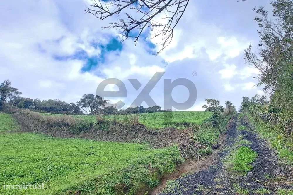 Terreno Agrícola para Venda – Lenho da Achada, Nordeste - Grande imagem: 5/9