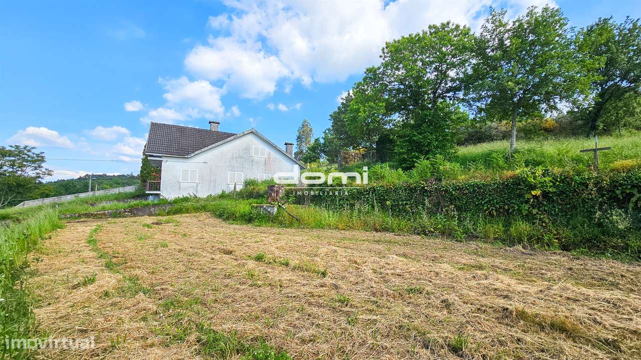 Terreno com 1.600m², situado em Bordonhos, no concelho de São Pedro do - Grande imagem: 5/16