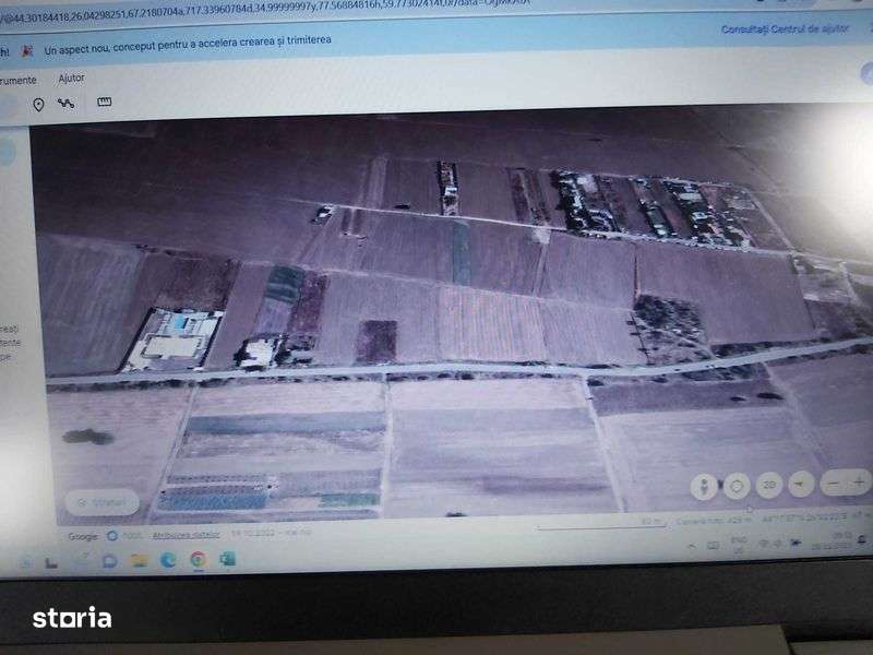 Propietar vind 6000 mp cu deschidere 42 m , in com 1 Decembrie Ilfov - Imagine principală: 4/8