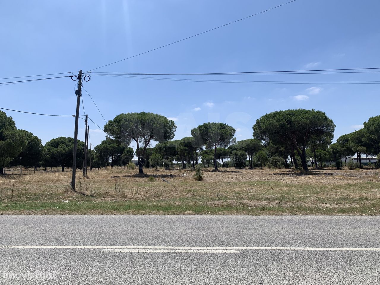 Terreno Rústico em Benavente