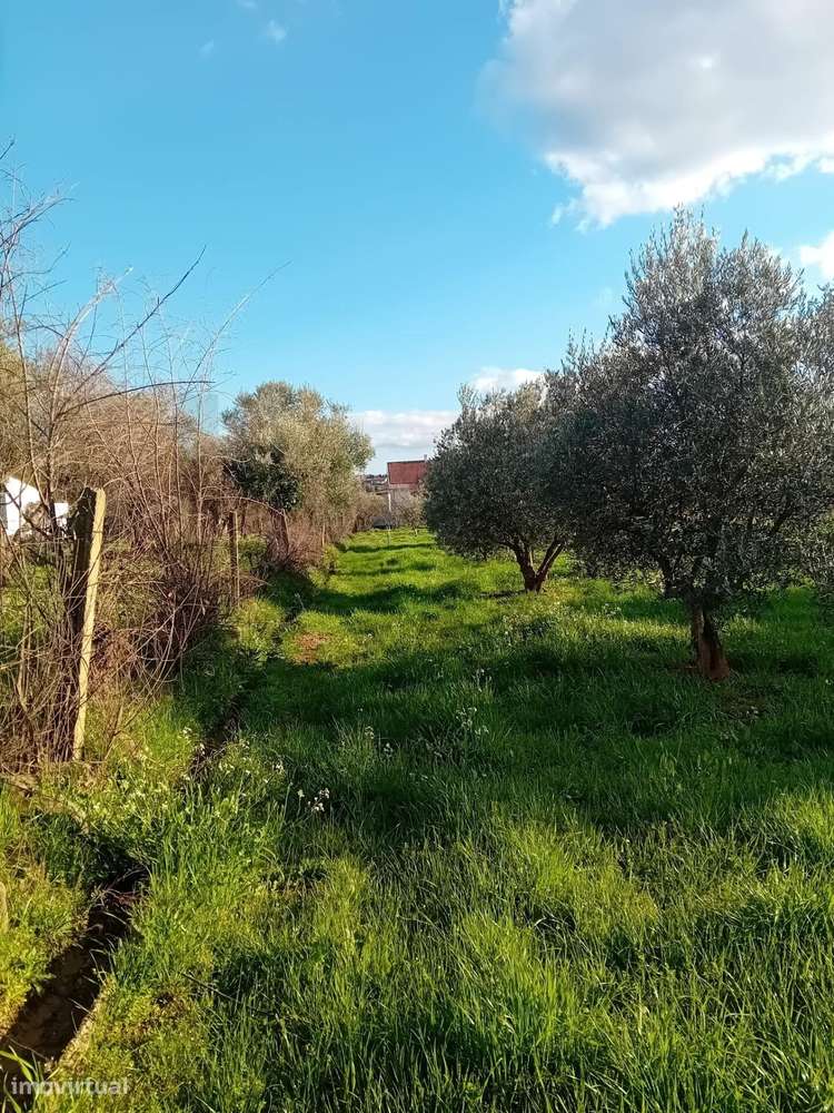 Terreno de 1040m2 junto à Praia Fluvial - Grande imagem: 4/13
