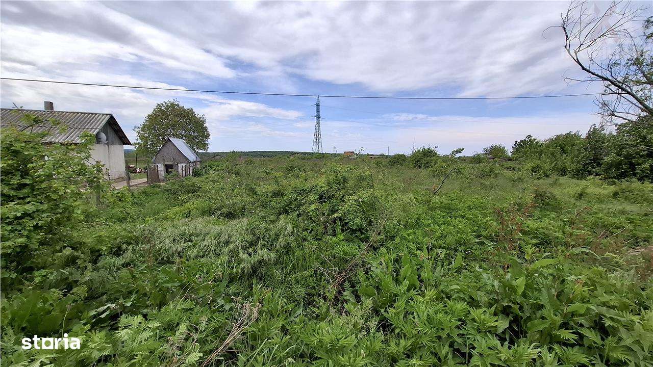 Teren Intravilan 3300 mp Paun Bucium,Utilitati!!! - Imagine principală: 3/5