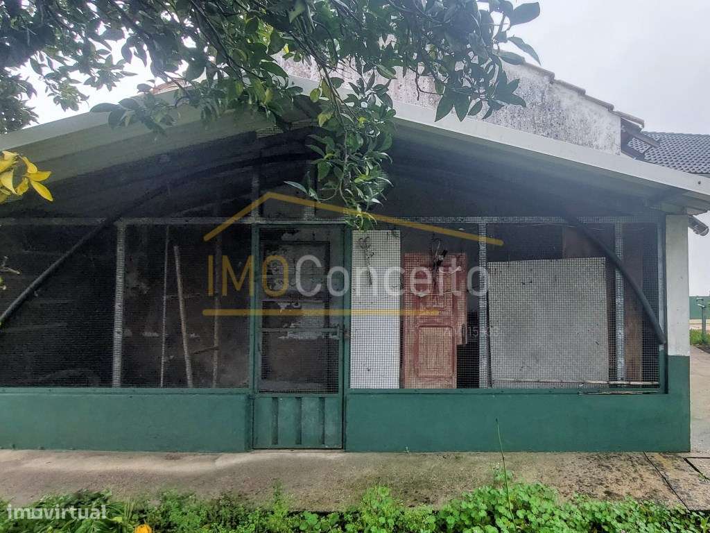 Moradia Térrea T4|| Ourém|| Caxarias|| Campo-56