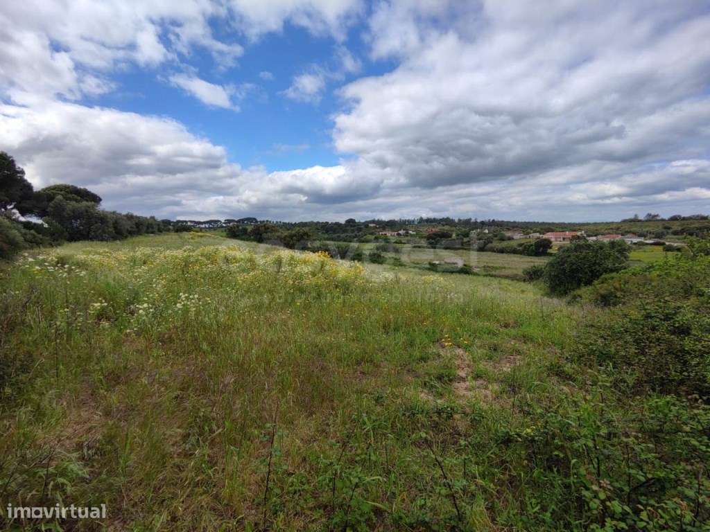 Terreno Rústico com 9600mt2 em Alcoentre, Azambuja - Grande imagem: 5/15
