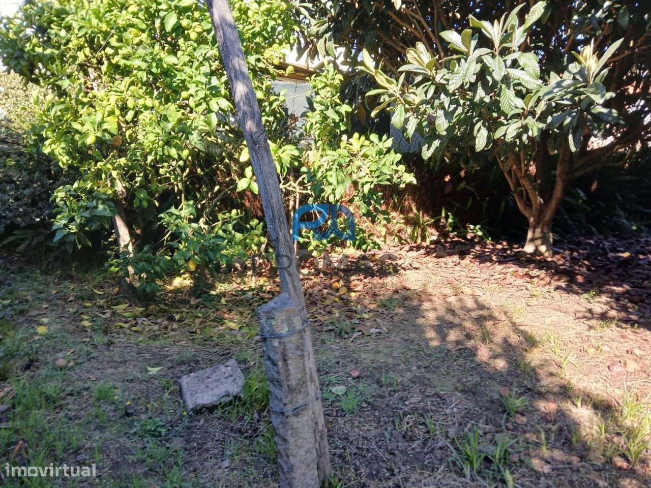 Moradia com jardim-12