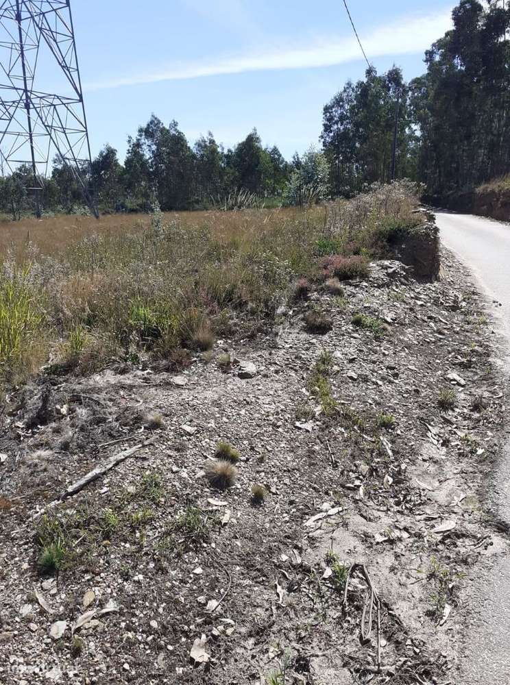 Terreno Rustico em Canedo! - Grande imagem: 4/13