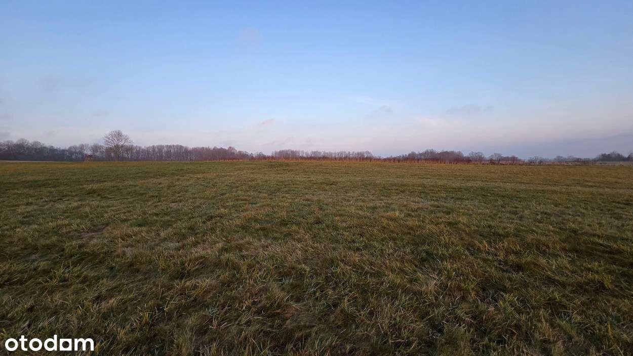 Na sprzedaż działka w miejscowości Młynary-13