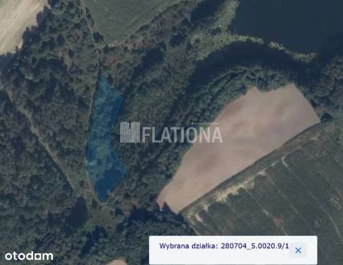 Działka o powierzchni 3919m2-5