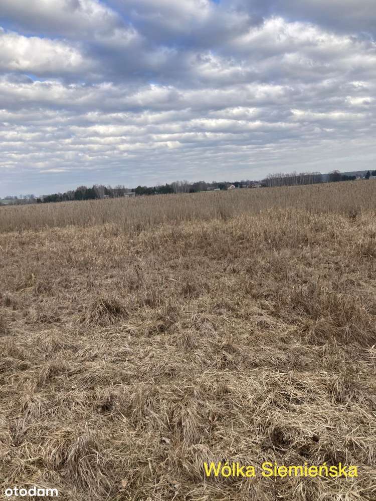 6 działek - Grunty orne -  Lasy - łąki-5