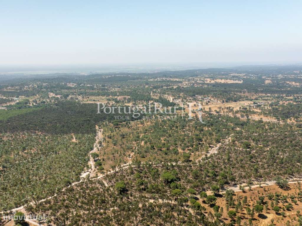 Quinta de 20ha com projeto para Turismo Rural a 1h de Lisboa-7