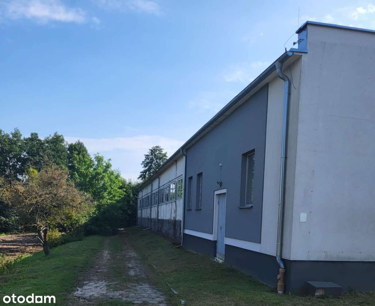 Giżycko 200 m2 - Pełny obrazek: 3/3