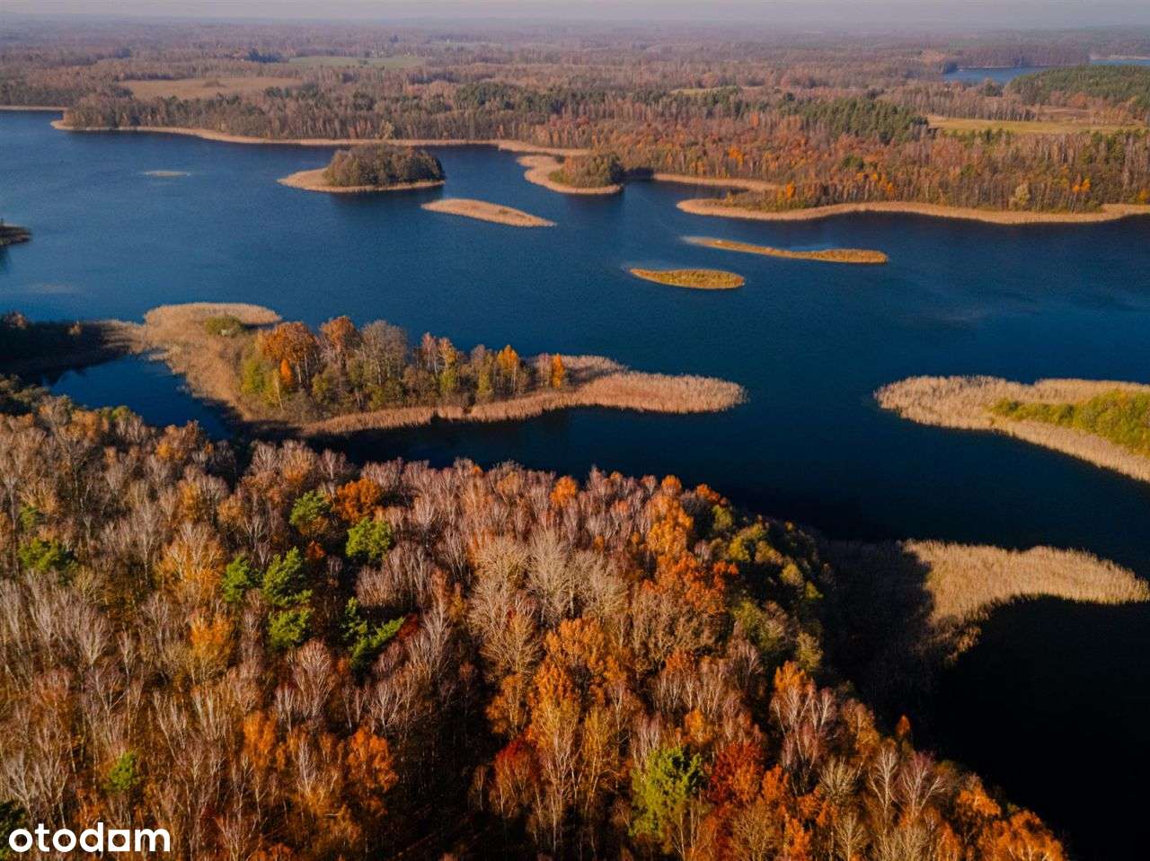 Działka siedliskowa - Krągi-17