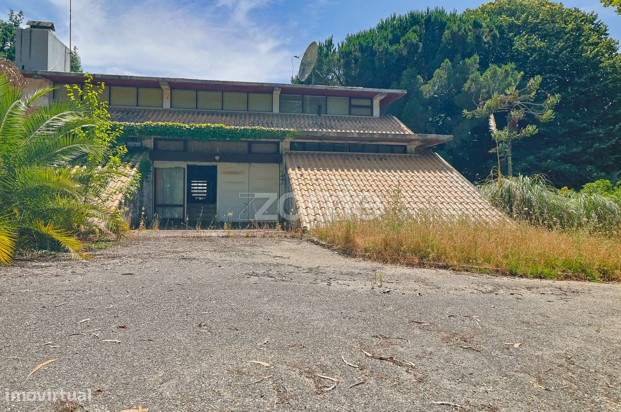 Quinta T4 + T3 I Terreno I Figueiró dos Vinhos - Grande imagem: 4/56