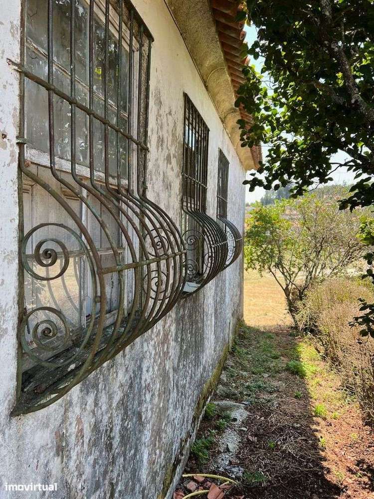 Quintinha com Casa Senhorial em Baião - Grande imagem: 4/26