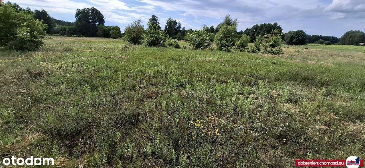 Działka budowlana | 1158m2 | Solec Kujawski - Pełny obrazek: 4/5