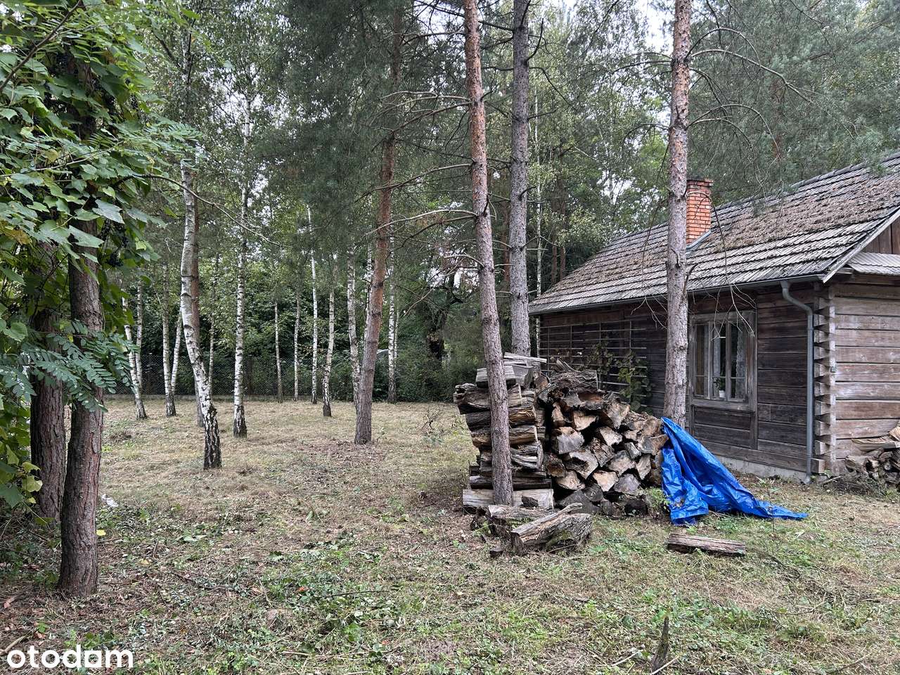Atrakcyjna działka budowlana 1564 m² w spokojnej okolicy - Pełny obrazek: 5/20