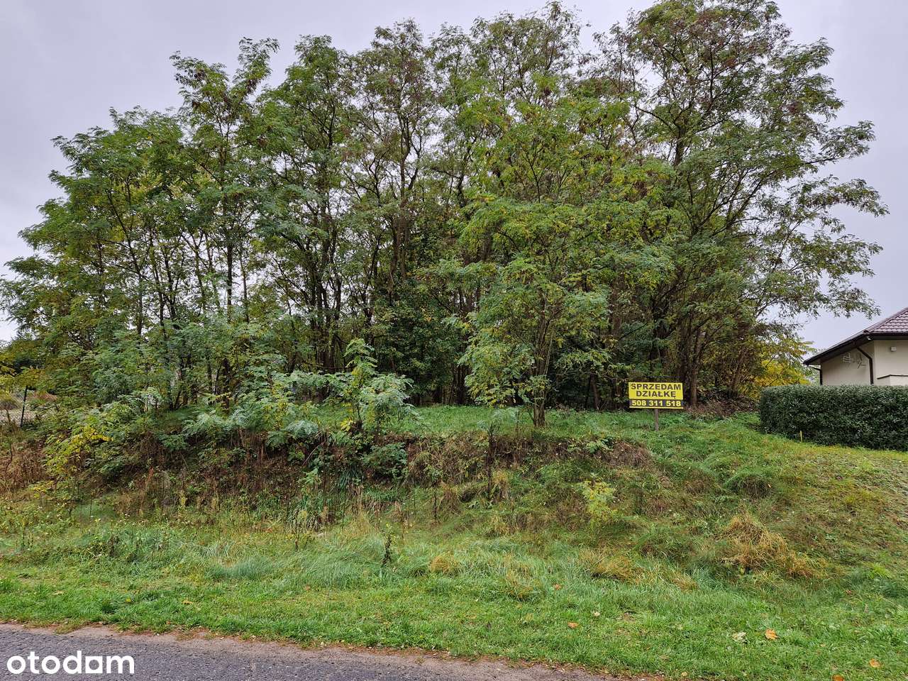 ŁOWYŃ - Bezpośrednio - działka budowlana blisko jeziora - Pełny obrazek: 5/7