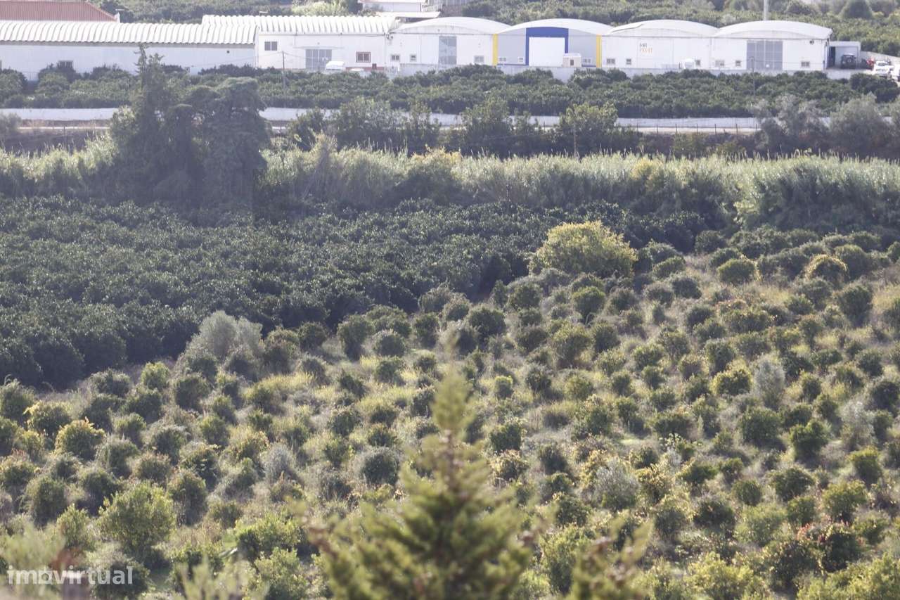 Terreno Urbano de 19.065 m2 com Alvará Aprovado | Silves - Grande imagem: 4/47