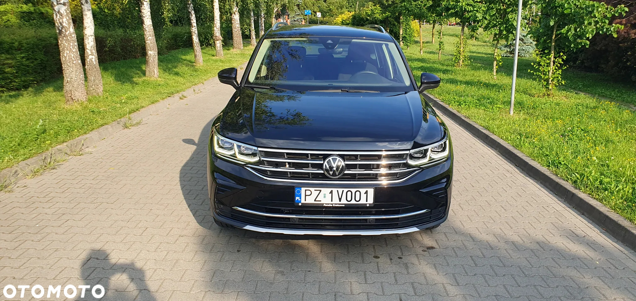 Volkswagen Tiguan 1.5 TSI EVO Elegance DSG - 13