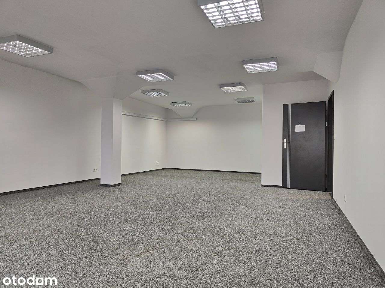 BEZPOŚREDNIO 50 i 60 i 100 m2 Górczyn - Pełny obrazek: 5/5