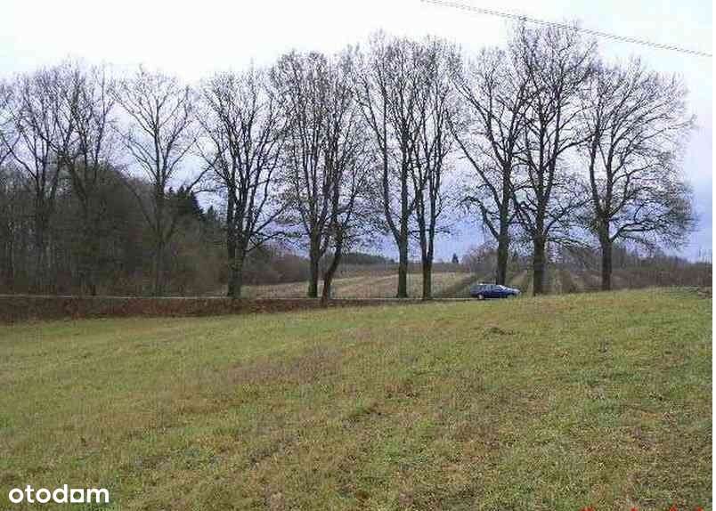 Działka siedliskowa 3130 m2 .Las. Morze. Nad rzeką-4