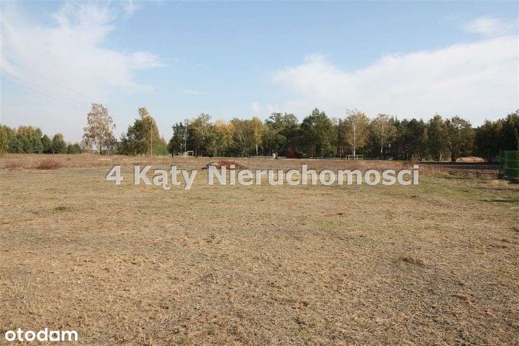 Garki działka 1457 m2 ul. Spacerowa - Pełny obrazek: 4/6