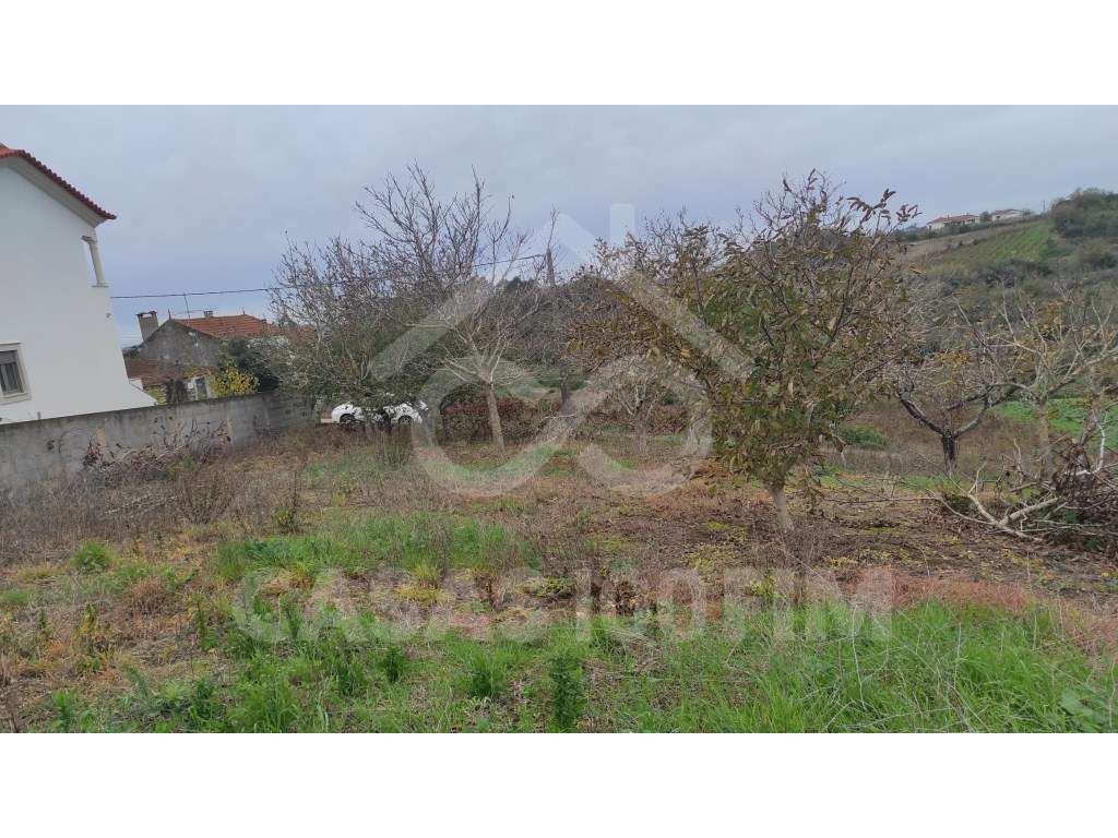 TERRENO RÚSTICO COM VIABILIDADE DE CONSTRUÇÃO - Grande imagem: 5/5