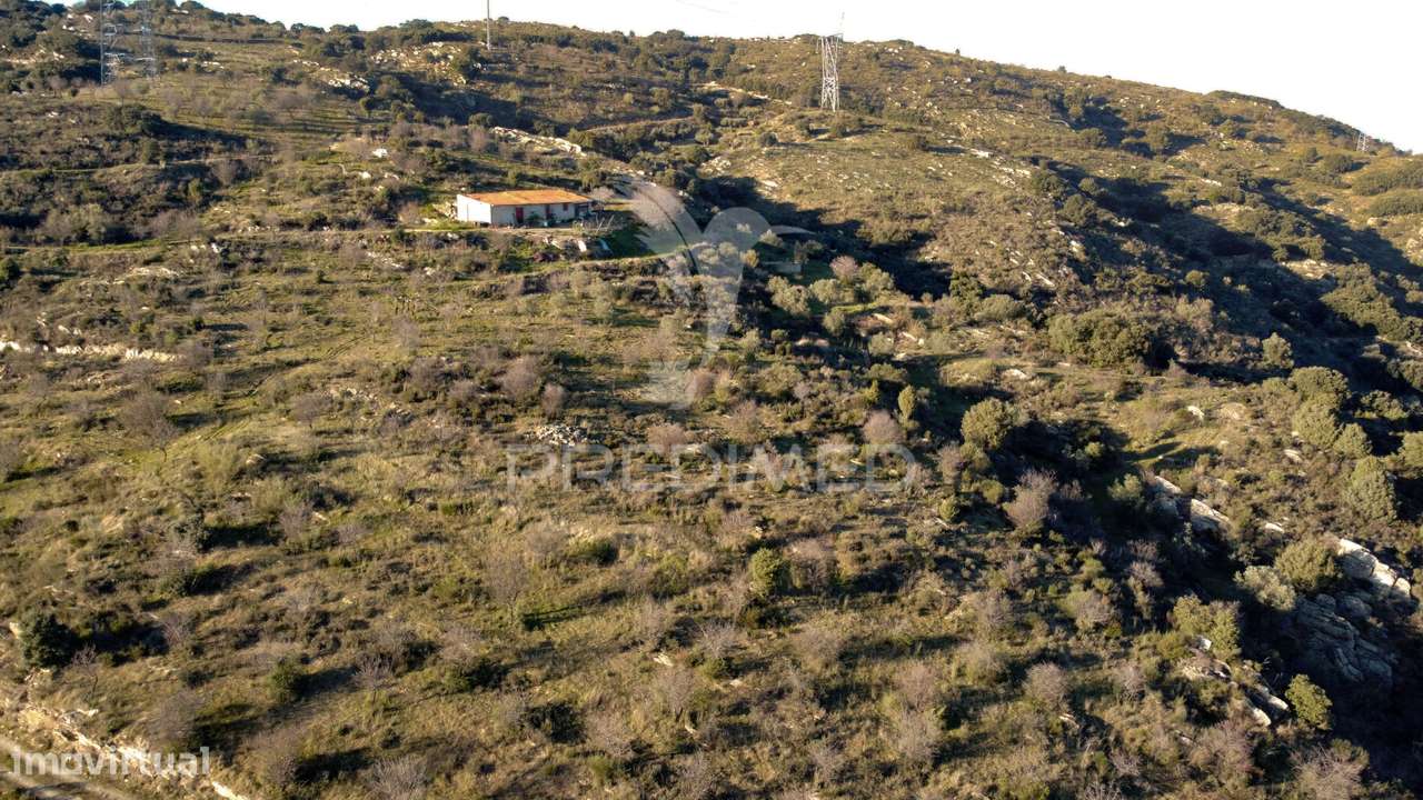 Propriedade de Excelência com Mais de 22 Hectares no Coração do Douro - Grande imagem: 5/30