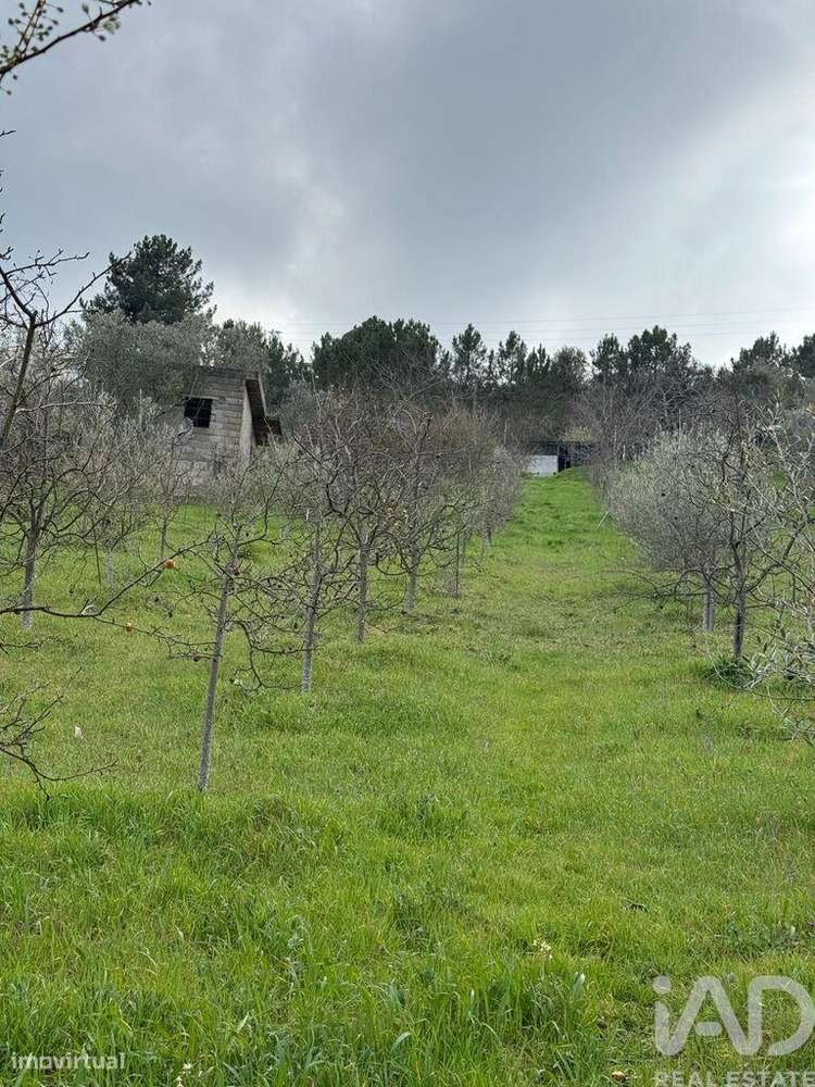 Terreno Agrícola em Tabuaço - Grande imagem: 3/14