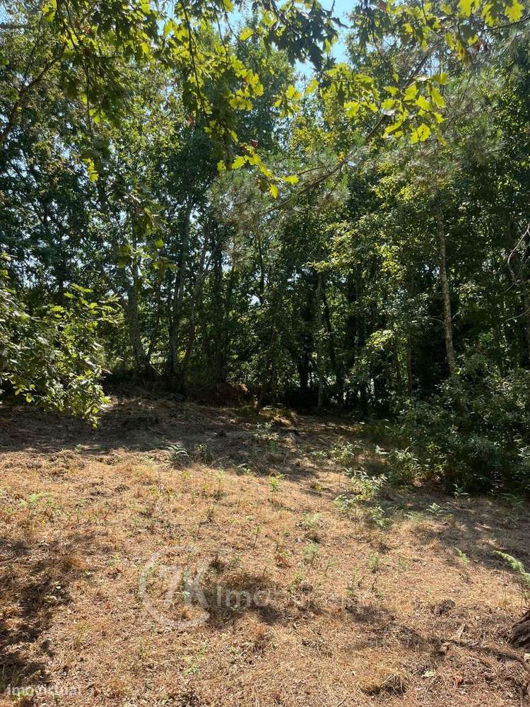 Terreno para  Construção - Grande imagem: 4/15