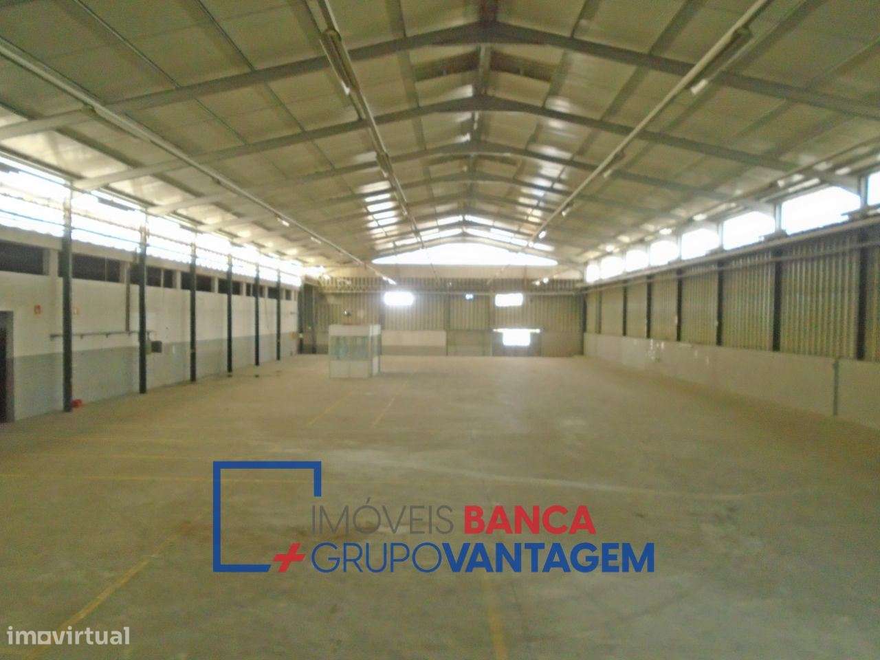 Conjunto de Armazéns com 5.460m2 em Muge, Salvaterra de Magos - Grande imagem: 5/30