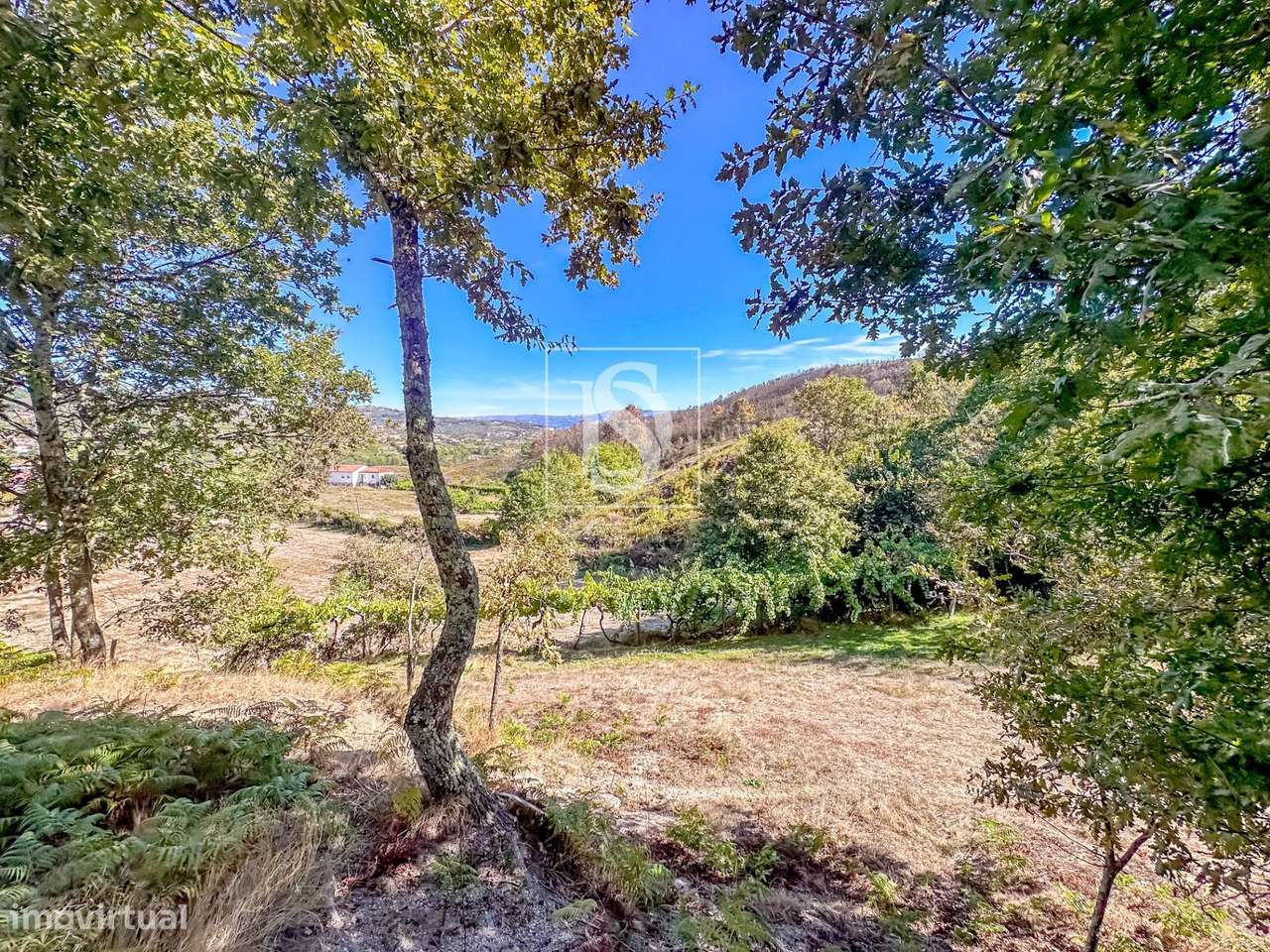 QUINTA COM 14.719 m² – GRILO, BAIÃO - Grande imagem: 4/41