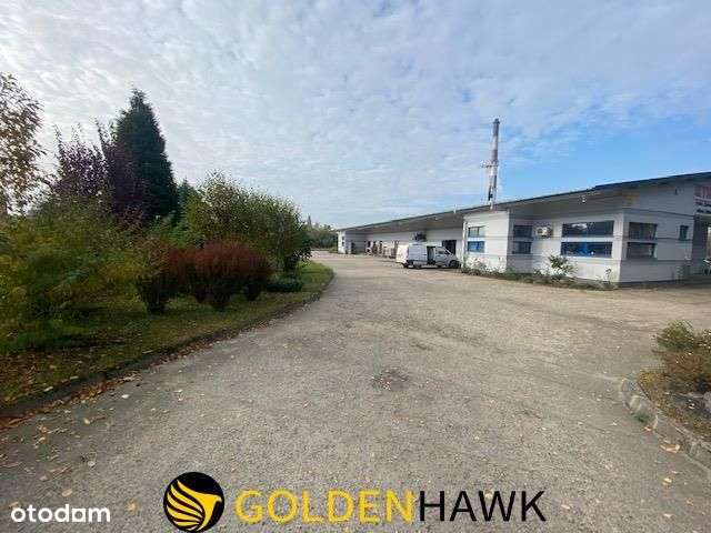 Ha;a 650m2 z terenem na sprzedaż. Police - Pełny obrazek: 4/7