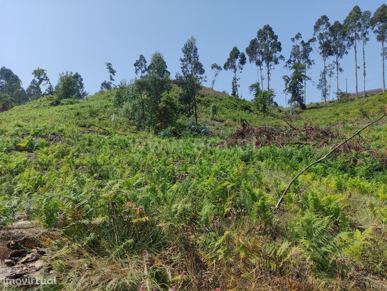 Terreno rústico com 25.418 m2 em Agilde- Celorico de Basto